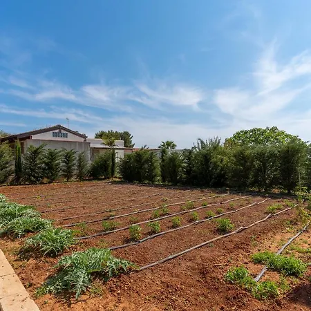 بيت للعطل Marcella By Barbarhouse توري سودا